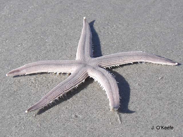 Lucla_u0.jpg