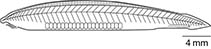 Epcul_u0.jpg