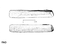 Image of Solen marginatus (Grooved razor clam)