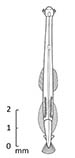 tn_Paset_u0.jpg